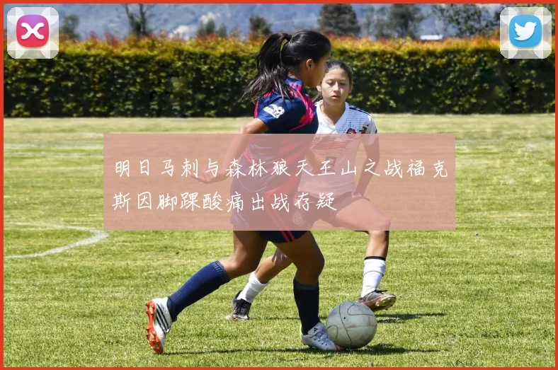 明日马刺与森林狼天王山之战福克斯因脚踝酸痛出战存疑