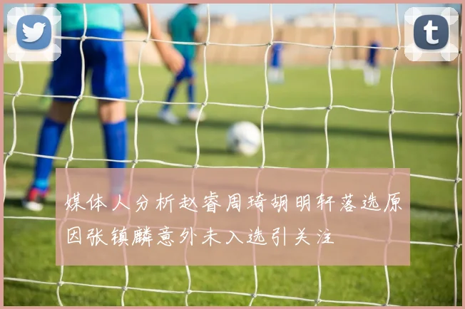 媒体人分析赵睿周琦胡明轩落选原因张镇麟意外未入选引关注