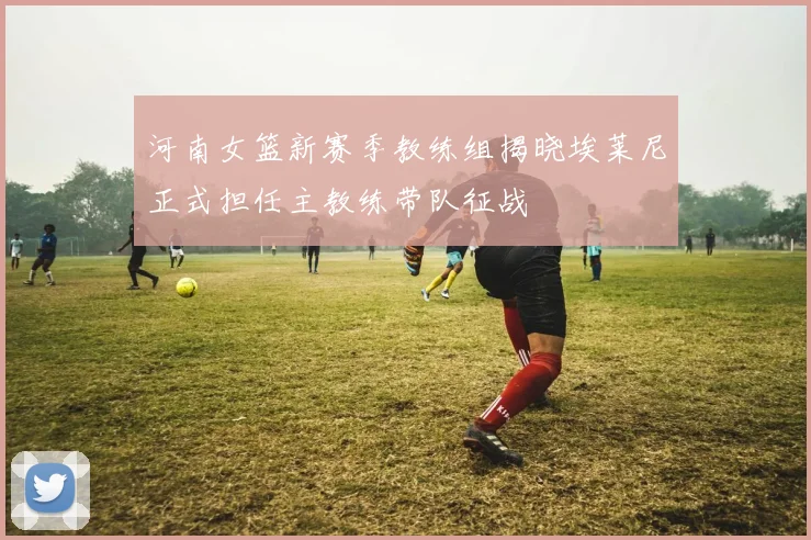 河南女篮新赛季教练组揭晓埃莱尼正式担任主教练带队征战
